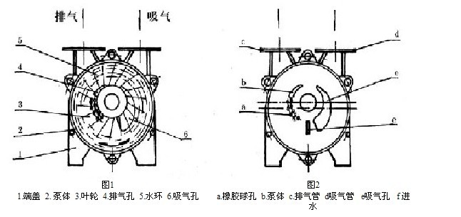 水環(huán)式真空泵